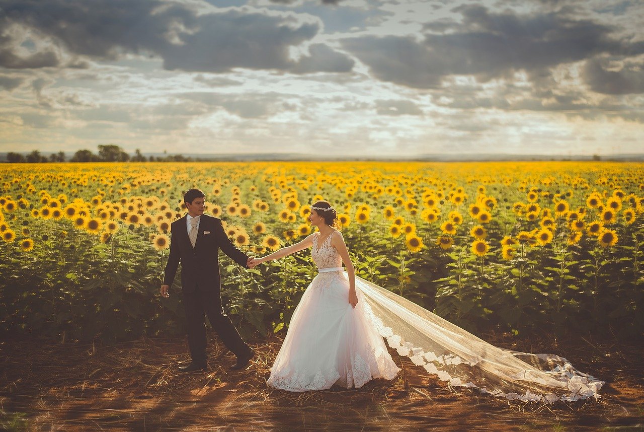 wedding, couple, sunflower field
